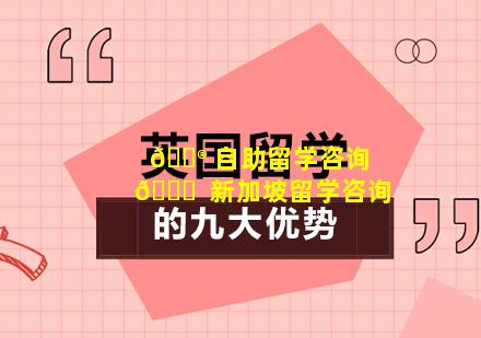 💮 自助留学咨询 🐋  新加坡留学咨询